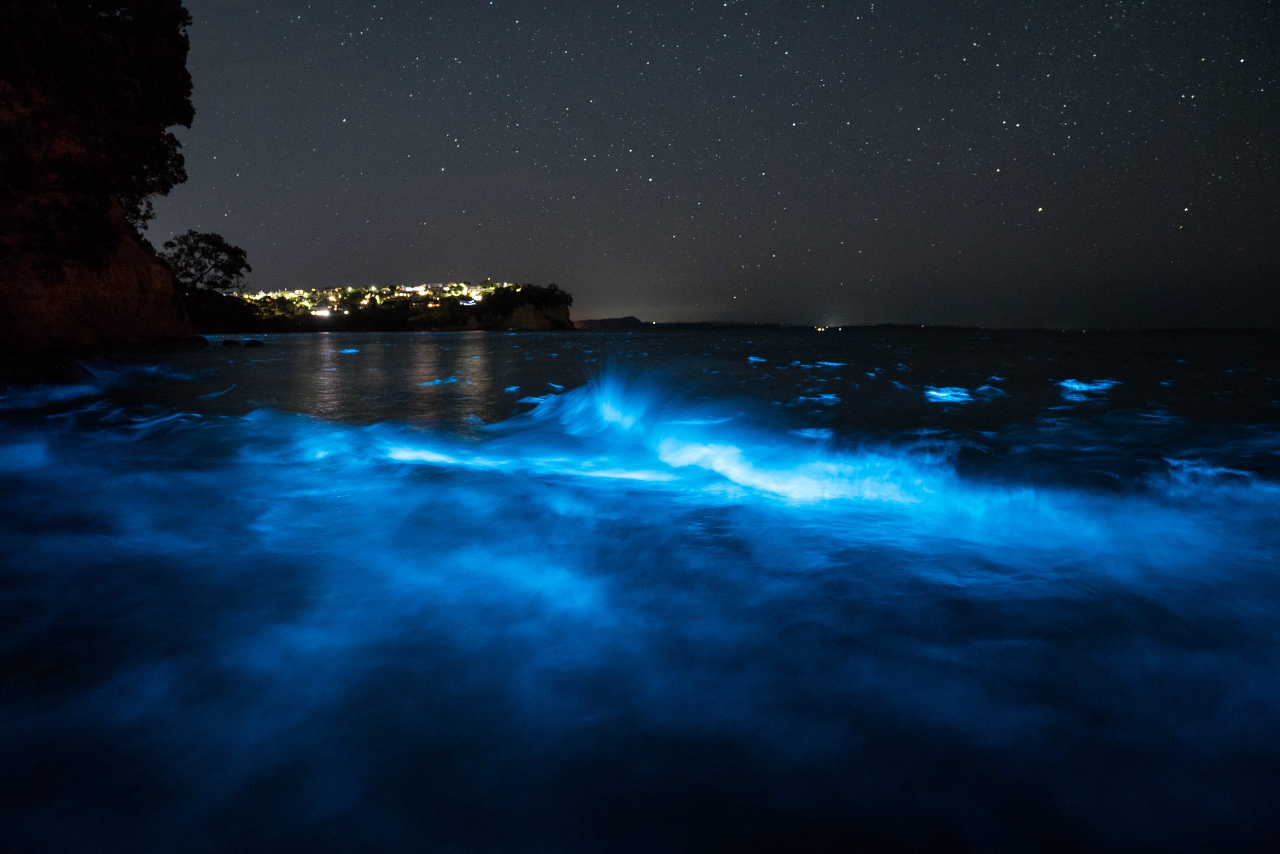 Forecasting a bioluminescent light show - Extreme Pursuit